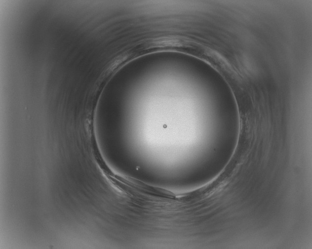 X0000075841225200609151256