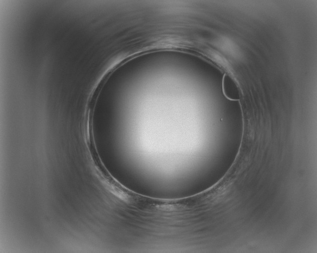 X0000075841227200609151256