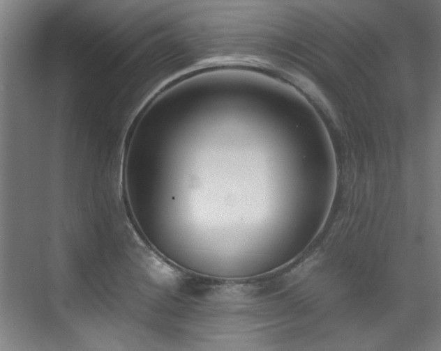 X0000075841228200609151256