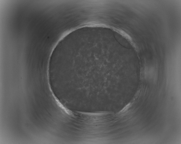 X0000075841231200609151256