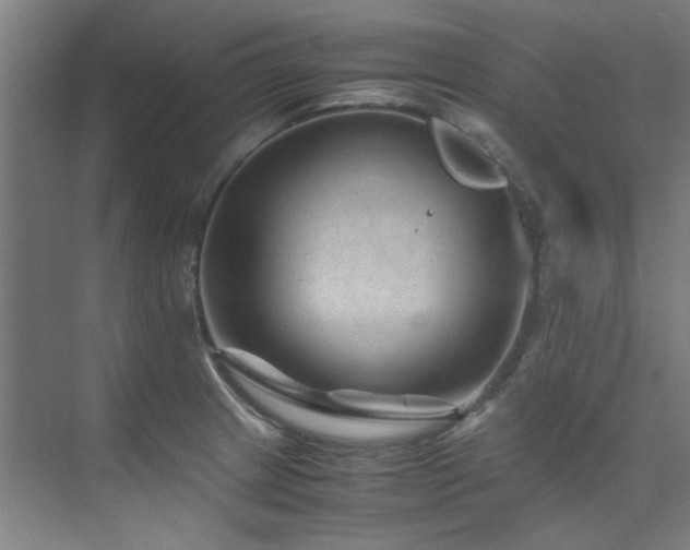 X0000075841233200609151256