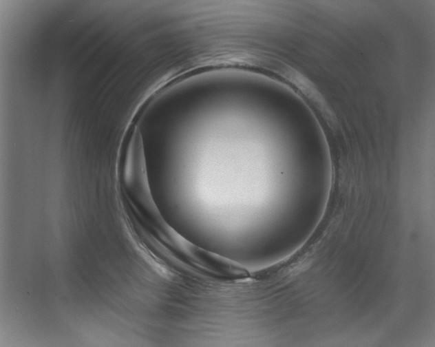 X0000075841234200609151256