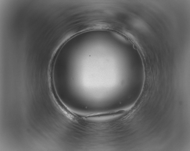 X0000075841235200609151256