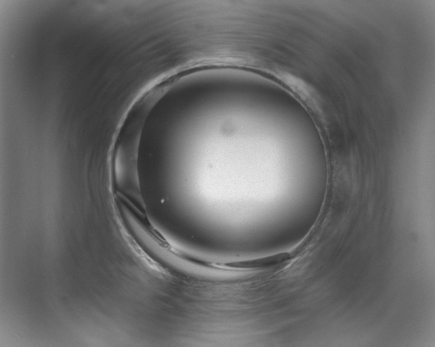 X0000075841238200609151256