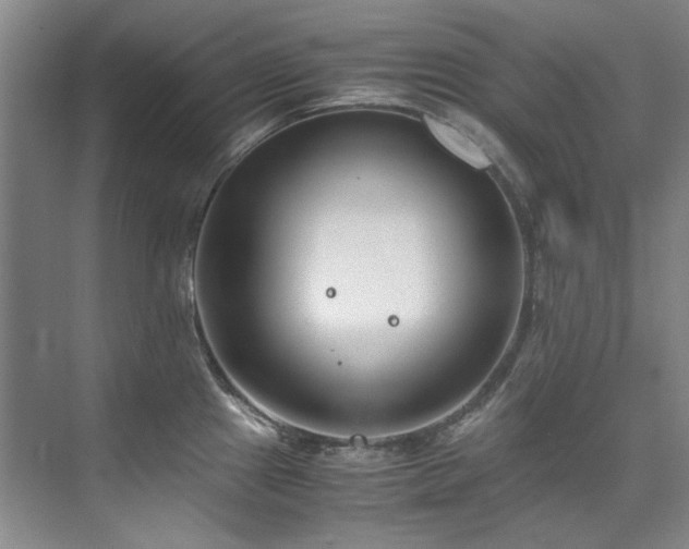 X0000075841241200609151256