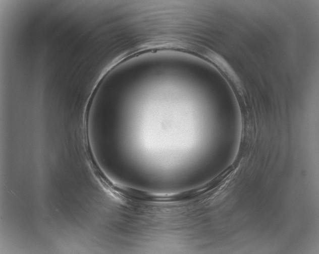 X0000075841242200609151256