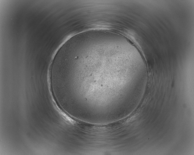 X0000075841243200609151256