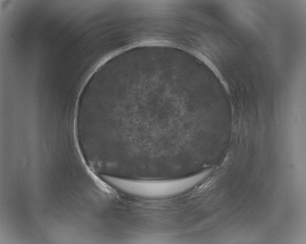 X0000075841245200609151256