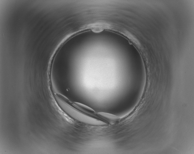 X0000075841248200609151256