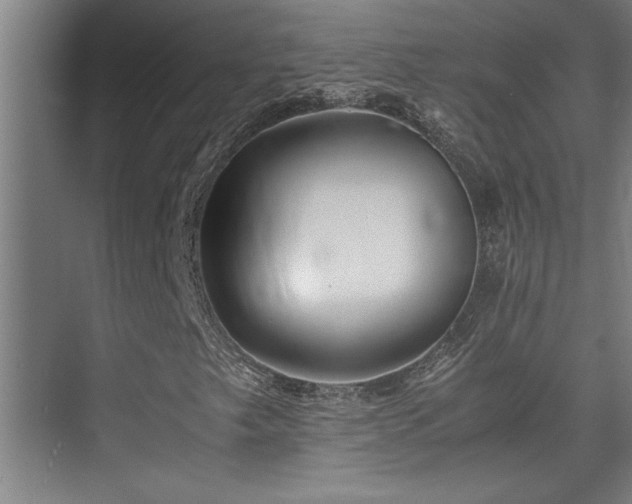 X0000075841249200609151255