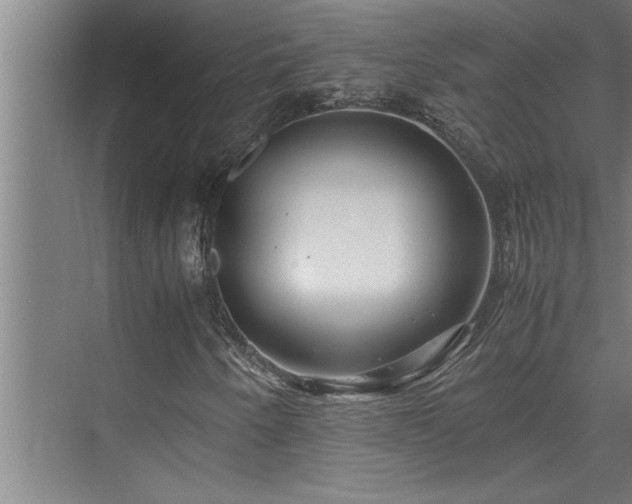 X0000075841250200609151255