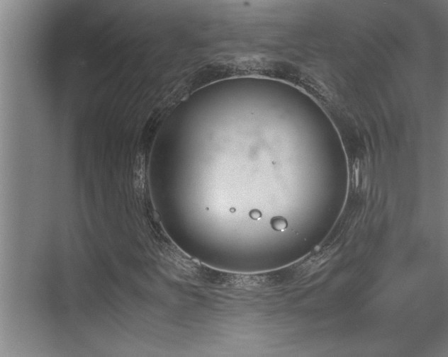 X0000075841251200609151255