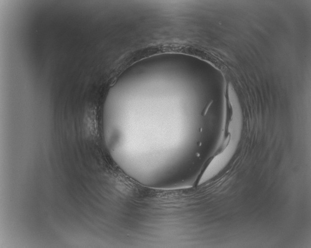 X0000075841252200609151255