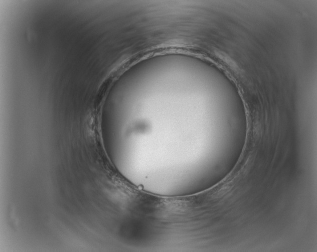 X0000075841258200609151255