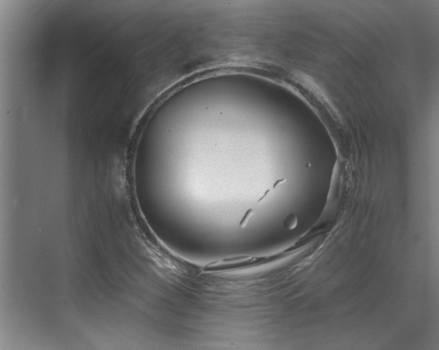 X0000075841260200609151255