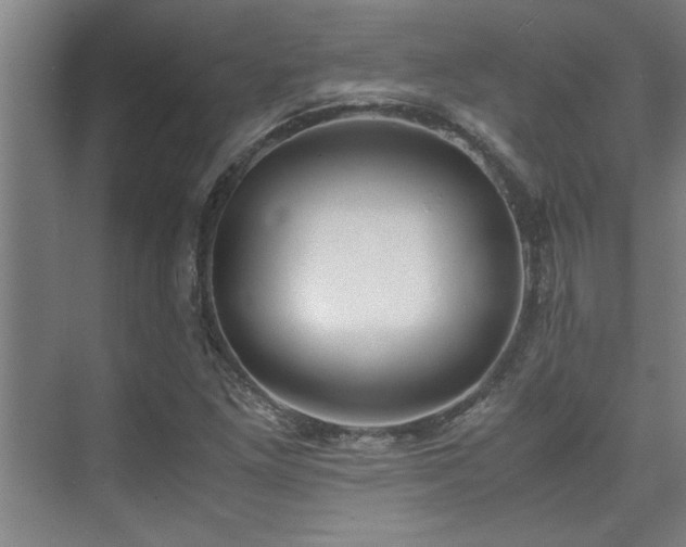 X0000075841261200609151255