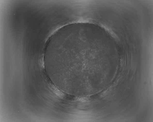 X0000075841262200609151255