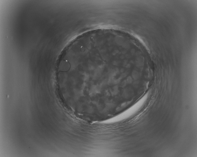 X0000075841263200609151255