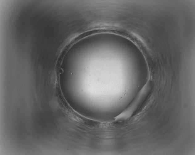 X0000075841267200609151255