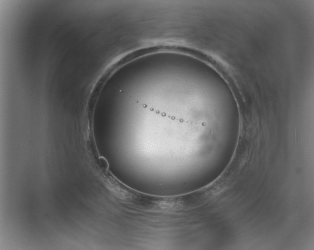 X0000075841271200609151255