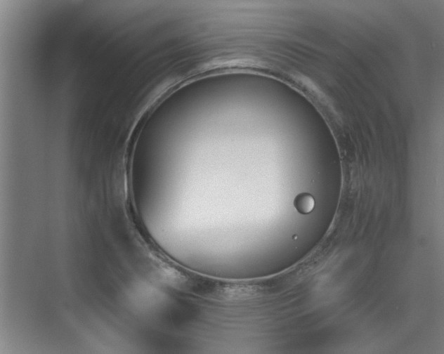 X0000075841274200609151255