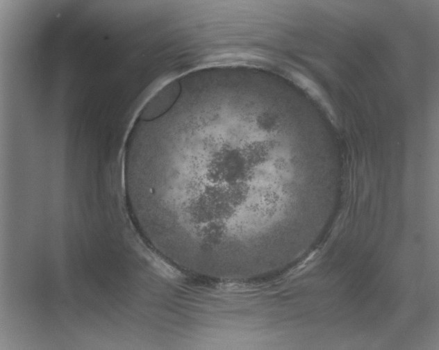 X0000075841275200609151255