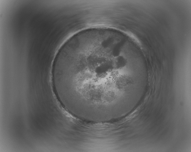 X0000075841279200609151255