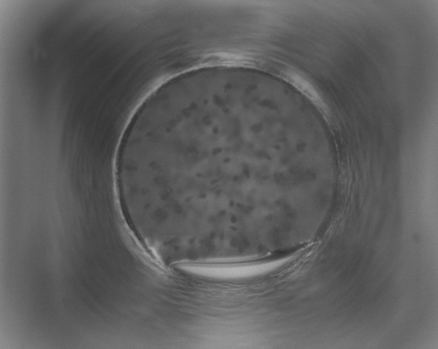 X0000075841283200609151255