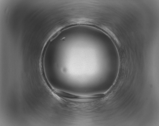 X0000075841285200609151255