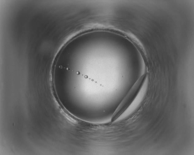 X0000075841287200609151255