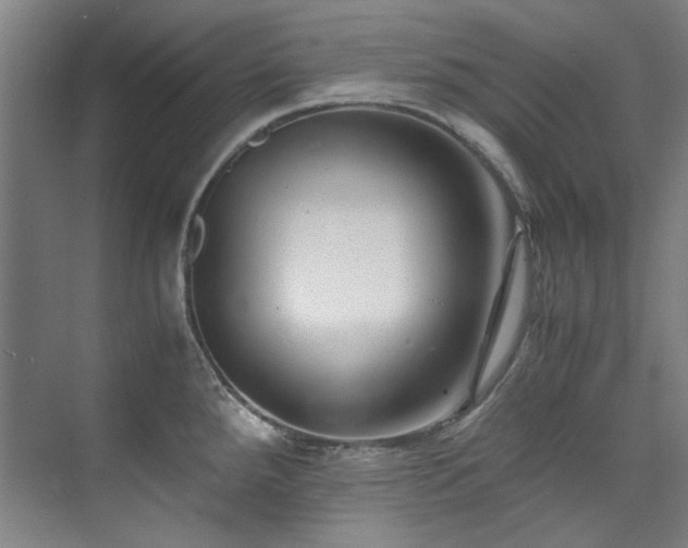 X0000075841288200609151255