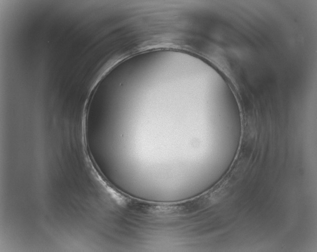 X0000075841290200609151255