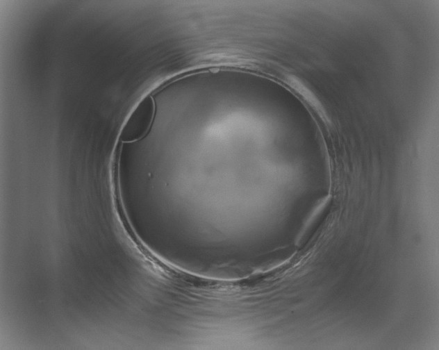 X0000075841291200609151255