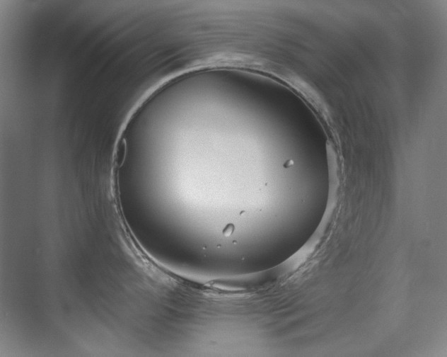 X0000075841296200609151255