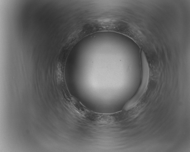 X0000075841298200609151254