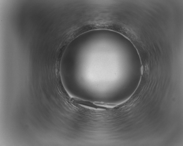 X0000075841300200609151254