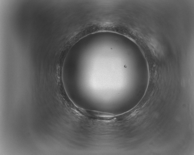 X0000075841301200609151254