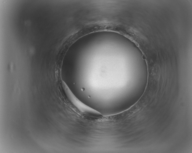 X0000075841302200609151254