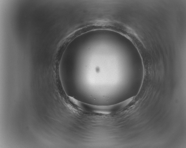 X0000075841304200609151254