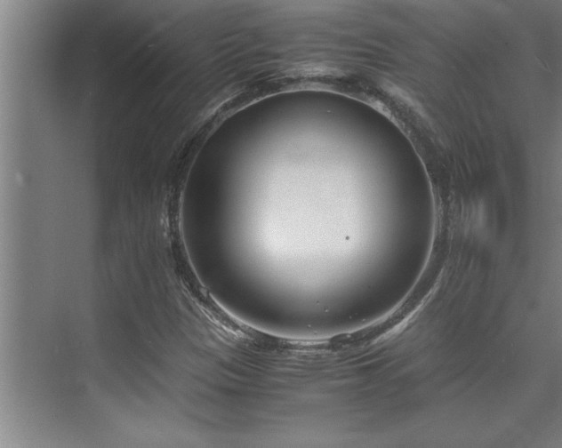 X0000075841305200609151254