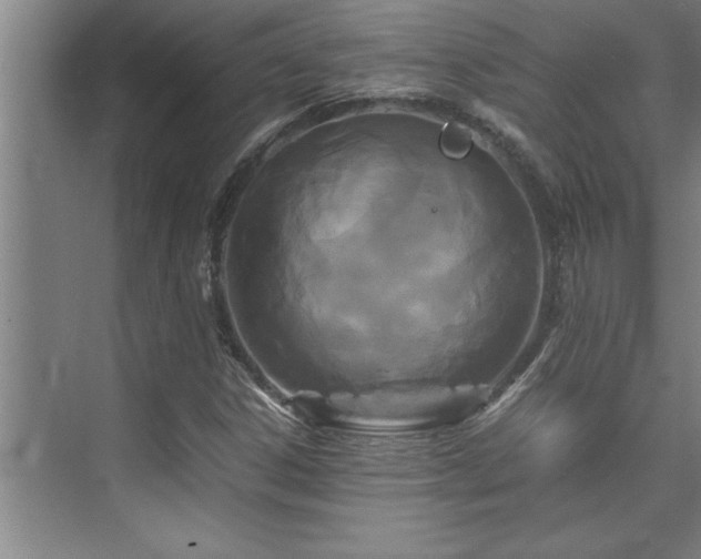 X0000075841306200609151254