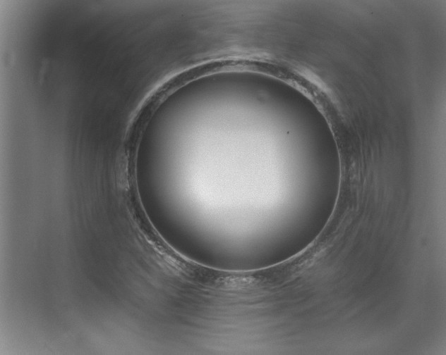 X0000075841310200609151254