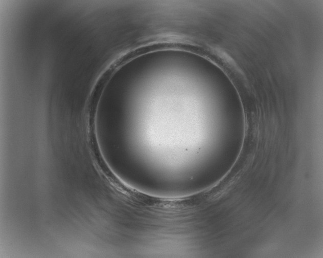 X0000075841318200609151254