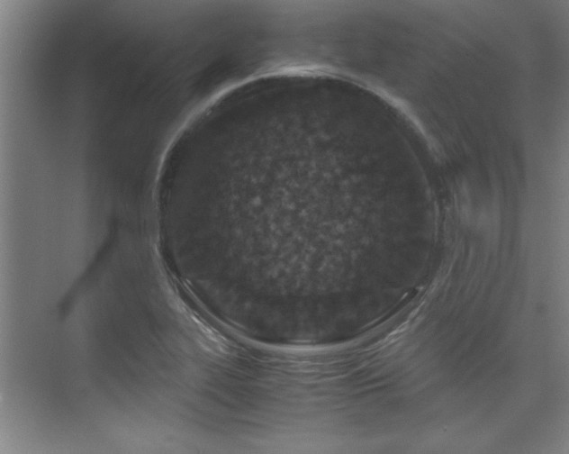 X0000075841319200609151254