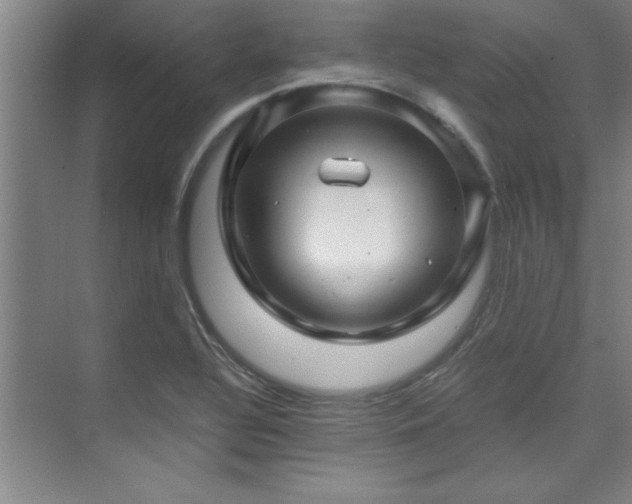 X0000075841320200609151254