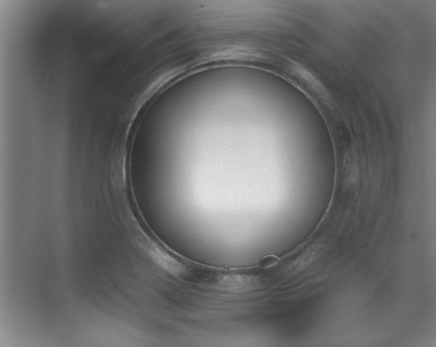 X0000075841322200609151254