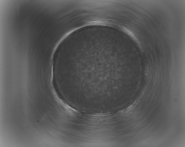 X0000075841323200609151254