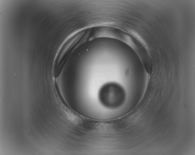 X0000075841324200609151254