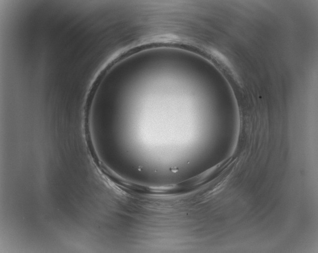 X0000075841326200609151254