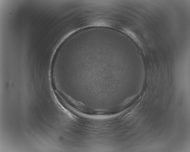 X0000075841331200609151254